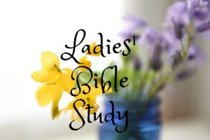 Ladies' Bible Study @ Mount Zion ARP
